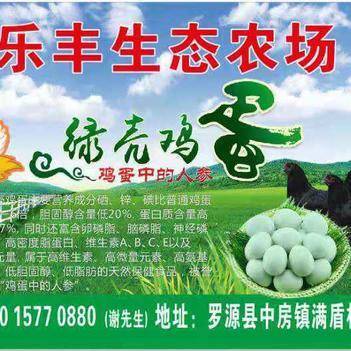 深耕源頭，鏈接餐桌 走進農產品批發供應商謝依燦的惠農網之路